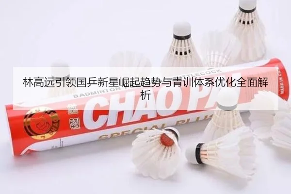 林高远引领国乒新星崛起趋势与青训体系优化全面解析